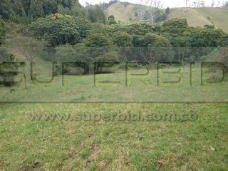 Foto 5 de TERRENO RURAL PARCELA 19 CONDOMINIO BARRO BLANCO DE 30000  UBIC.: SANTA LIBRADA-BOJACÁ - BARROBLANCO