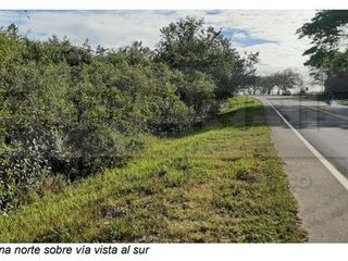 Foto 7 de TERRENO RURAL PARCELA 5 CONDOMINIO BARRO BLANCO DE 30000 M2 RP#4 UBIC.: SANTA LIBRADA-BOJACÁ - BARROBLANCO