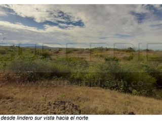Foto 9 de TERRENO RURAL PARCELA 5 CONDOMINIO BARRO BLANCO DE 30000 M2 RP#4 UBIC.: SANTA LIBRADA-BOJACÁ - BARROBLANCO
