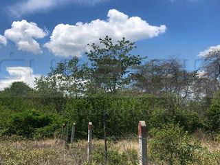 Foto 12 de TERRENO RURAL PARCELA 5 CONDOMINIO BARRO BLANCO DE 30000 M2 RP#4 UBIC.: SANTA LIBRADA-BOJACÁ - BARROBLANCO