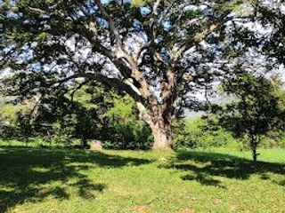 Foto 5 de Venta de lote en Sopetran