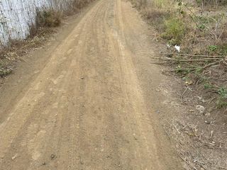 Foto 5 de Terreno de Venta en Montecristi