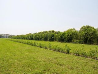 Foto 4 de LOTES PARA LA CONSTRUCCIÓN DE SU CASA CAMPESTRE A 15 MIN DE GIRARDOT - PALERMO