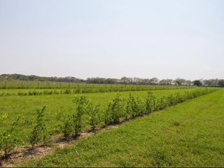 Foto 5 de LOTES PARA LA CONSTRUCCIÓN DE SU CASA CAMPESTRE A 15 MIN DE GIRARDOT - PALERMO