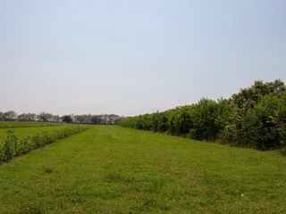 Foto 11 de LOTES PARA LA CONSTRUCCIÓN DE SU CASA CAMPESTRE A 15 MIN DE GIRARDOT - PALERMO