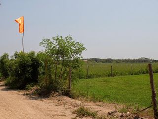 Foto 14 de LOTES PARA LA CONSTRUCCIÓN DE SU CASA CAMPESTRE A 15 MIN DE GIRARDOT - PALERMO