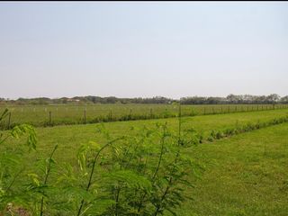 Foto 8 de LOTES EN VENTA A 15 MIN DE GIRARDOT PALEMRO