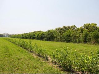 Foto 17 de LOTES EN VENTA A 15 MIN DE GIRARDOT PALEMRO