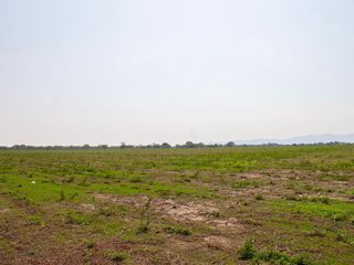 Foto 2 de EXCELENTES LOTES POR HECTAREA PARA CONSTRUCCIÓN DE PROYECTOS