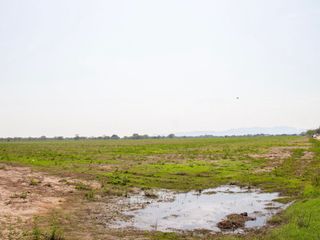 Foto 3 de EXCELENTES LOTES POR HECTAREA PARA CONSTRUCCIÓN DE PROYECTOS