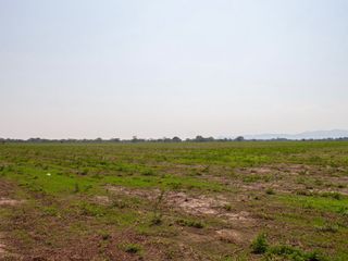 Foto 12 de EXCELENTES LOTES POR HECTAREA PARA CONSTRUCCIÓN DE PROYECTOS