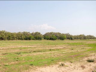 Foto 14 de EXCELENTES LOTES POR HECTAREA PARA CONSTRUCCIÓN DE PROYECTOS