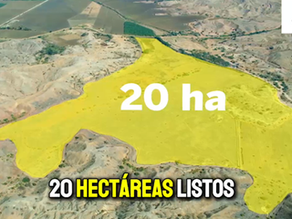 Foto 1 de ¡¡Atención Inversores y Empresarios Agricolas!! 📣📣