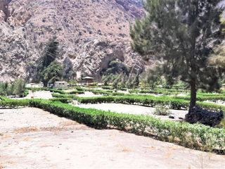 Foto 26 de INCREIBLE OPORTUNIDAD: LOTES CAMPRESTRES EN VENTA EN SANTA ROSA DE QUIVES