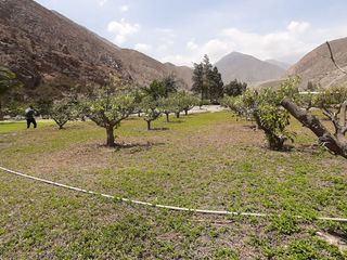 Foto 28 de INCREIBLE OPORTUNIDAD: LOTES CAMPRESTRES EN VENTA EN SANTA ROSA DE QUIVES