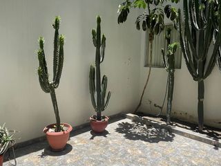 Foto 11 de Se Vende Departamento En 1Er Piso En Vallecito