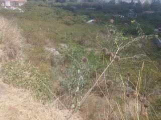 OPRTUNIDAD VENTA TERRENO GUAYLLABAMBA 1253m2