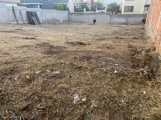 Foto 4 de Venta Terreno 530m2 Urbanización el Condado primera etapa