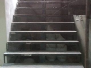 Foto 6 de BODEGA EN ARRIENDO EN VILLAMARIA CALDAS