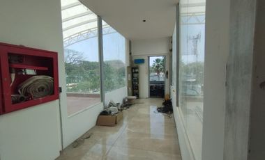 similar_image