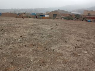 Foto 3 de Terreno industrial 13,700 m2 con titulo de propiedad en Puente Piedra zapallal
