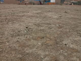 Foto 4 de Terreno industrial 13,700 m2 con titulo de propiedad en Puente Piedra zapallal
