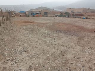 Foto 6 de Terreno industrial 13,700 m2 con titulo de propiedad en Puente Piedra zapallal