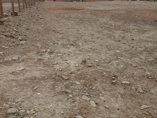 Foto 7 de Terreno industrial 13,700 m2 con titulo de propiedad en Puente Piedra zapallal