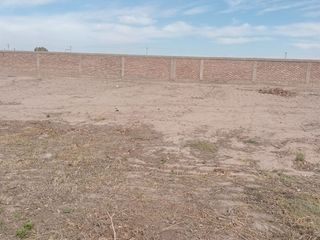 Foto 2 de LOTE 256 M2