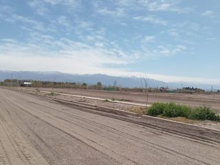 Foto 4 de LOTE 256 M2
