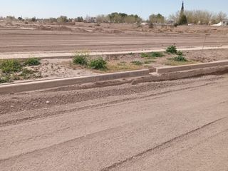 Foto 6 de LOTE 256 M2