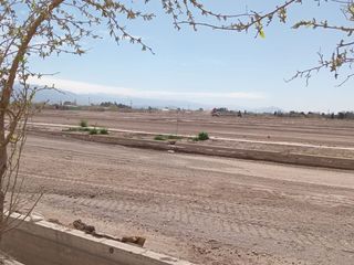 Foto 9 de LOTE 256 M2