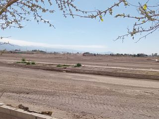 Foto 10 de LOTE 256 M2