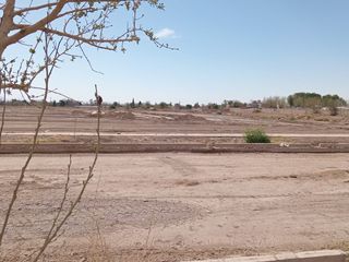 Foto 11 de LOTE 256 M2