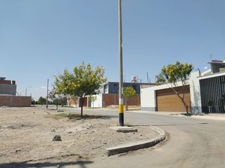 Foto 7 de VENTA 4 HTS POCOLLAY TACNA