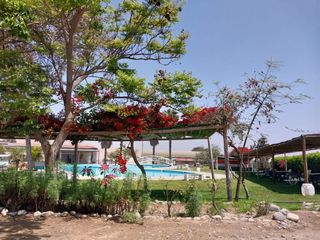 Foto 8 de VENTA 4 HTS POCOLLAY TACNA