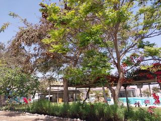 Foto 12 de VENTA 4 HTS POCOLLAY TACNA