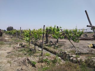 Foto 14 de VENTA 4 HTS POCOLLAY TACNA