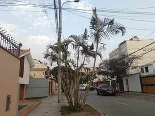 Foto 4 de VENTA CASA URB HIGUERETA