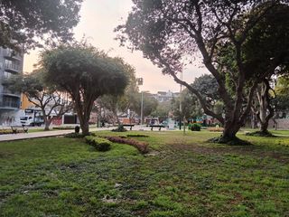 Foto 9 de VENTA CASA URB HIGUERETA