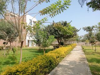 Foto 3 de VENTA TERRENO PACHACAMAC URB VILLA VERDE