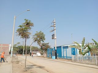 Foto 13 de VENTA TERRENO PACHACAMAC URB VILLA VERDE