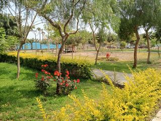 Foto 14 de VENTA TERRENO PACHACAMAC URB VILLA VERDE