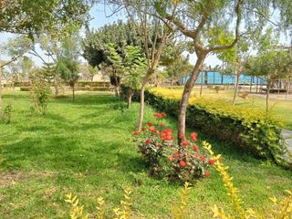 Foto 16 de VENTA TERRENO PACHACAMAC URB VILLA VERDE