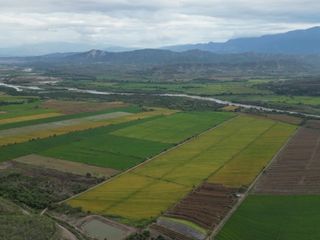 Foto 2 de venta de 40,000 Ha de terreno en Bagua