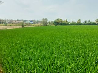 Foto 5 de TARAPOTO - VENDO TERRENO RURAL 8,000 M² CERCA AEROPUERTO