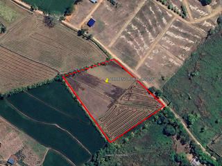 Foto 6 de TARAPOTO - VENDO TERRENO RURAL 8,000 M² CERCA AEROPUERTO