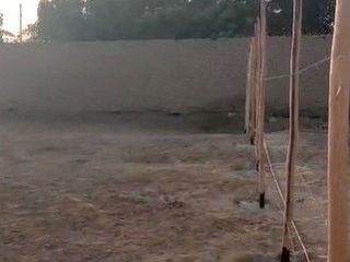 Foto 3 de Venta terreno en Chincha Alta, Ica
