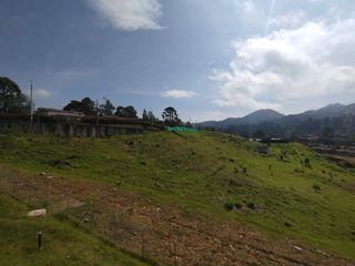 Foto 6 de EXCELENTE APARTAMENTO