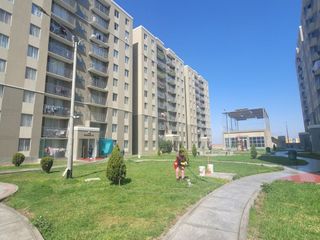 VENTA DE DEPARTAMENTO EN PASEO DE LA ALAMEDA - TACNA